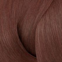 ShadesEQ Bonder Inside 04NB Maple - Redken Color | L'Oréal Partner Shop
