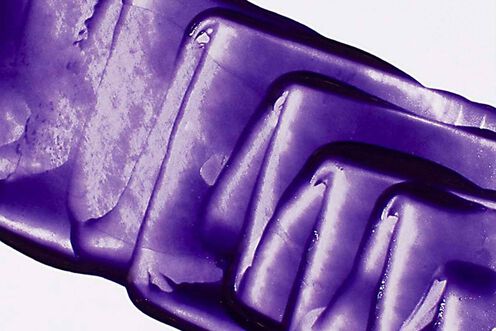 Color Fanatic Tone Glaze Purple - Pureology GWP Promotion | L'Oréal Partner Shop