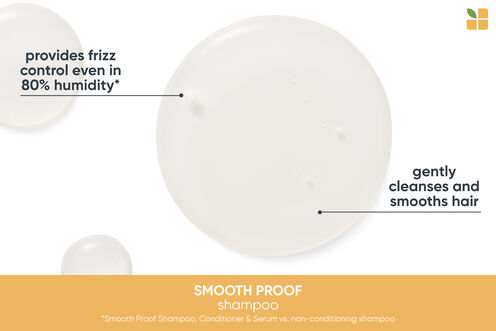 SmoothProof Shampoo - Matrix and Biolage Litres | L'Oréal Partner Shop