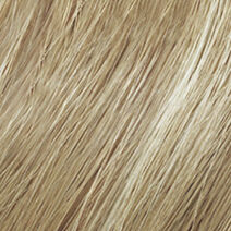 Blonde Idol High Lift Titanium  .12 - Redken Color | L'Oréal Partner Shop