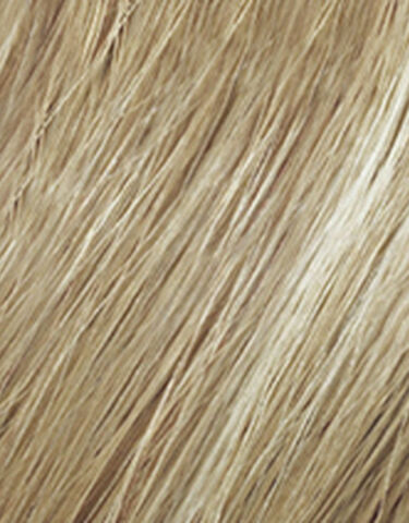 Blonde Idol High Lift Titanium  .12 - Redken Color | L'Oréal Partner Shop