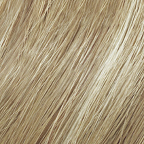 Blonde Idol High Lift Titanium  .12 - Redken Color | L'Oréal Partner Shop