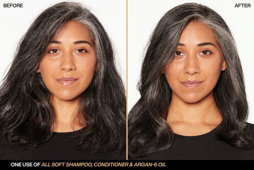 All Soft Argan Oil - Redken Haircare | L'Oréal Partner Shop