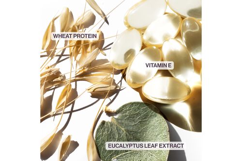 Hydrate Sheer Shampoo - Pureology GWP Promotion | L'Or&eacute;al Partner Shop