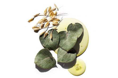 Hydrate Sheer Conditioner - Pureology GWP Promotion | L'Or&eacute;al Partner Shop