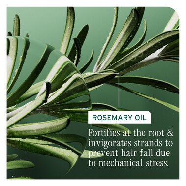 Full Rescue Invigorating Scalp Serum - New Biolage | L'Oréal Partner Shop