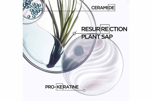 Resistance Bain Force Architecte - Kérastase Retail | L'Oréal Partner Shop