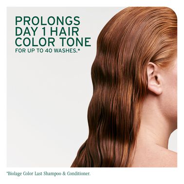 Color Last Purple Shampoo - New Biolage | L'Oréal Partner Shop