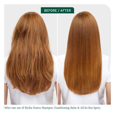 All-In-One Multi-Benefit Spray - New Biolage | L'Oréal Partner Shop