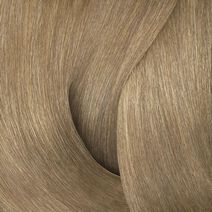 Color Gels 10N Cafe Creme Latte - Redken Color | L'Oréal Partner Shop
