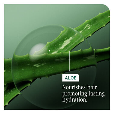 HydraSource Conditioning Balm - New Biolage | L'Oréal Partner Shop