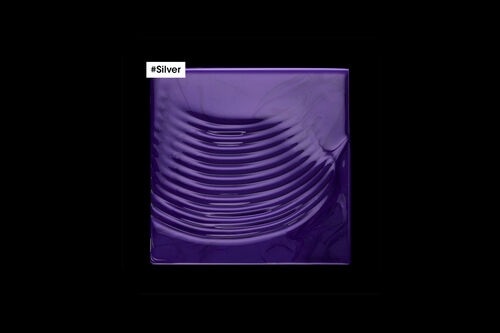 Silver Shampoo - L'Oréal Professionnel Hair Care | L'Oréal Partner Shop