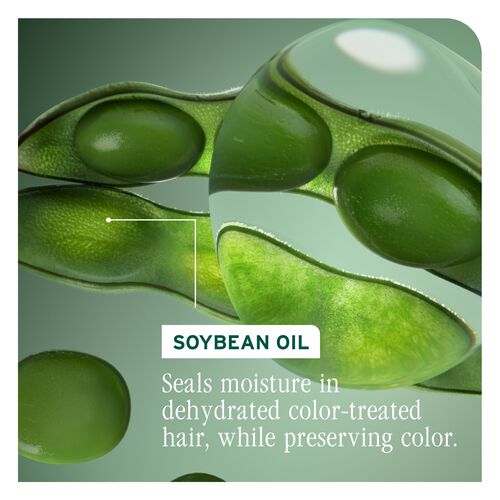 Color Last Conditioner - Color Last | L'Oréal Partner Shop