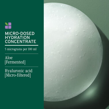 HydraSource Daily Leave-In Tonic - New Biolage | L'Oréal Partner Shop