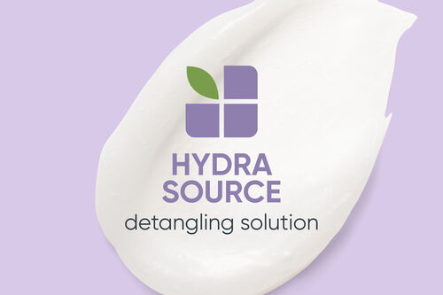 HydraSource Detangling Solution - Biolage Backbar Sizes | L'Oréal Partner Shop