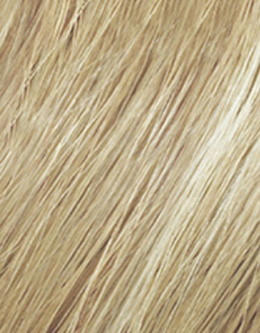 Blonde Idol High Lift Ash Blue  0.1 - Redken Color | L'Oréal Partner Shop