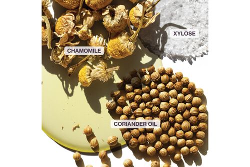 Strength Cure Miracle Filler - Pureology GWP Promotion | L'Oréal Partner Shop