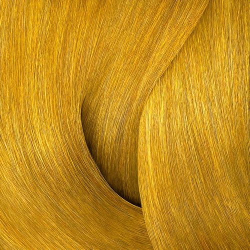 Color Gels 8Wg Golden Apricot - Redken Color | L'Oréal Partner Shop