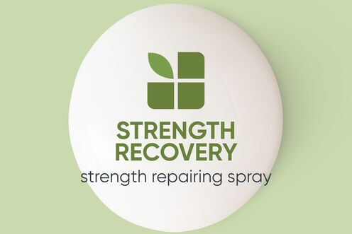 StrengthRecovery Repairing Spray - Vegan Collection | L'Oréal Partner Shop