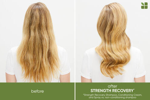 Strength Recovery Conditioner - Vegan Collection | L'Oréal Partner Shop