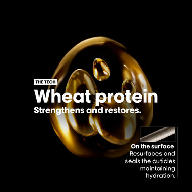 Absolut Repair Duo Holiday Gift Pack - Gift Sets | L'Oréal Partner Shop