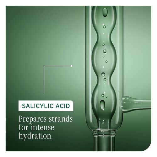 Ultra Hydra Source Daily Leave-In Cream - New Biolage | L'Oréal Partner Shop