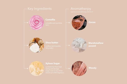 Smooth Perfection Serum - Vegan Collection | L'Oréal Partner Shop