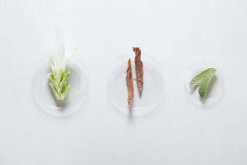 Scrub Energisant - kerastase Ritual | L'Oréal Partner Shop