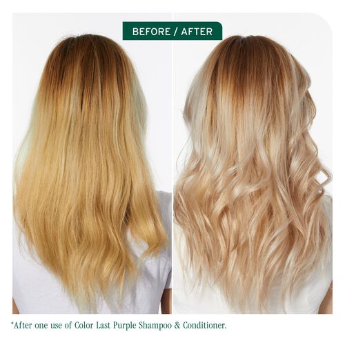 Color Last Purple Shampoo - Color Last | L'Oréal Partner Shop