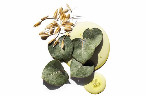 Pure Volume Conditioner - Pureology GWP Promotion | L'Oréal Partner Shop