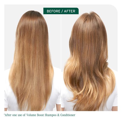 Volume Boost Conditioner - New Biolage | L'Oréal Partner Shop