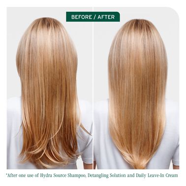 HydraSource Daily Leave-In Cream - New Biolage | L'Oréal Partner Shop