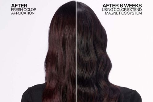 Color Extend Magnetics Conditioner - Redken Haircare | L'Oréal Partner Shop