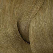 Color Gels 8Nn Crème Brulee - Redken Color | L'Oréal Partner Shop