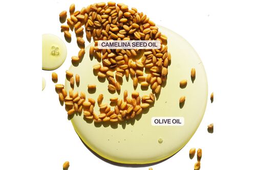 Color Fanatic Deep-Conditioning Mask - Vegan Collection | L'Or&eacute;al Partner Shop