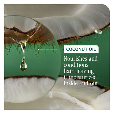 All-In-One Multi-Benefit Spray - New Biolage | L'Oréal Partner Shop