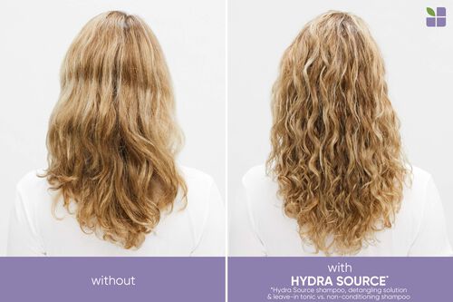 HydraSource Detangling Solution - Biolage Backbar Sizes | L'Oréal Partner Shop