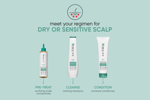 Scalp Sync Calming Shampoo - Scalp Sync Reno Collection | L'Oréal Partner Shop