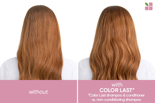 ColorLast Shampoo - ColorLast | L'Oréal Partner Shop