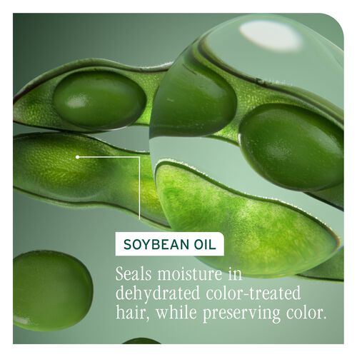 Color Last Shampoo - Color Last | L'Oréal Partner Shop