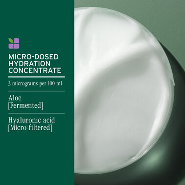 HydraSource Daily Leave-In Cream - New Biolage | L'Oréal Partner Shop