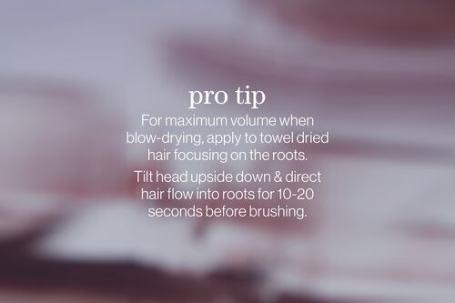 Style + Protect On The Rise Root Mousse - Pureology GWP Promotion | L'Oréal Partner Shop