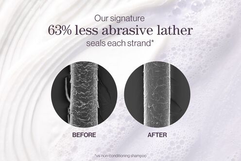 Hydrate Shampoo - Vegan Collection | L'Oréal Partner Shop