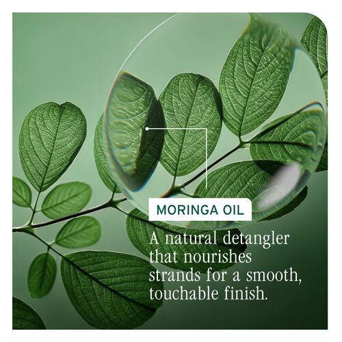 All-In-One Multi-Benefit Oil - New Biolage | L'Oréal Partner Shop