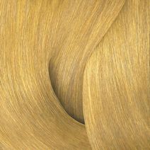 Color Gels 10Ng Honey - Redken Color | L'Oréal Partner Shop