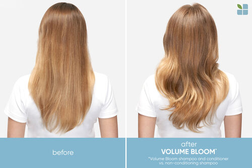 Volume Bloom Conditioner - Biolage Backbar Sizes | L'Oréal Partner Shop