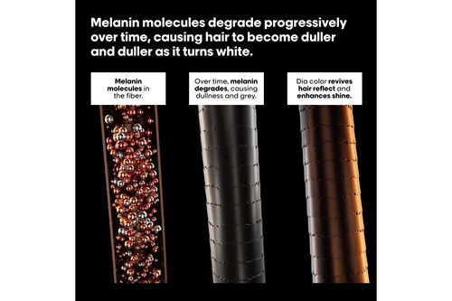 Dia Color - Dia | L'Oréal Partner Shop