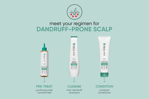 ScalpSync Anti-Dandruff Shampoo - Scalp Sync Reno Collection | L'Oréal Partner Shop