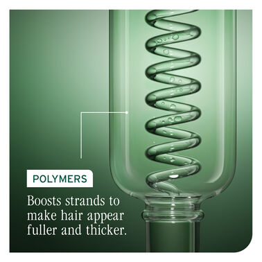 Volume Boost Conditioner - New Biolage | L'Oréal Partner Shop