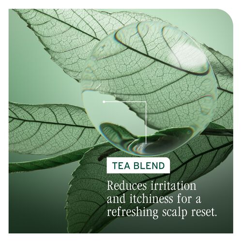 Scalp Sync Clarifying Shampoo - New Biolage | L'Oréal Partner Shop